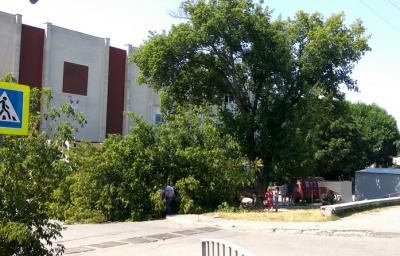 Прикрепленное изображение: 2017-07-26 15-06-53_cr.jpg